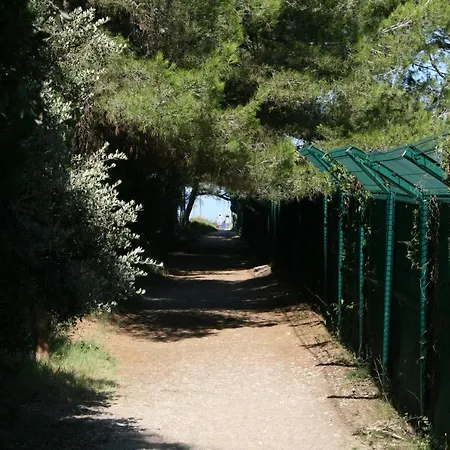 Lägenhet O Salins Hyères