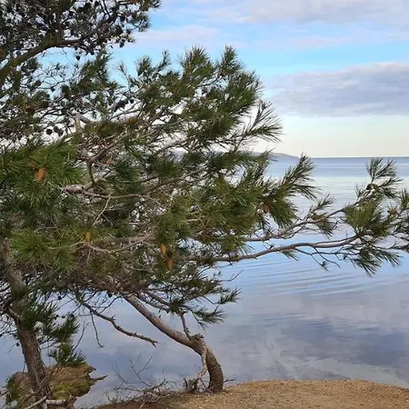 O Salins Lägenhet Hyères