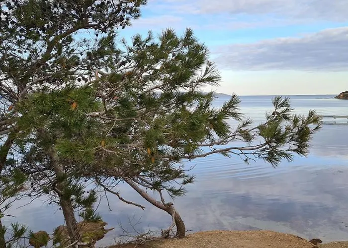 O Salins Lejlighed Hyères