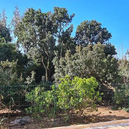 Apartmán O Salins