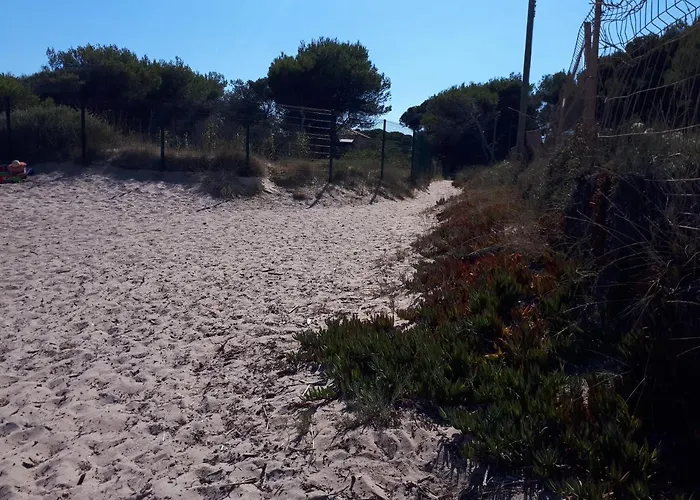 O Salins Appartement Hyères