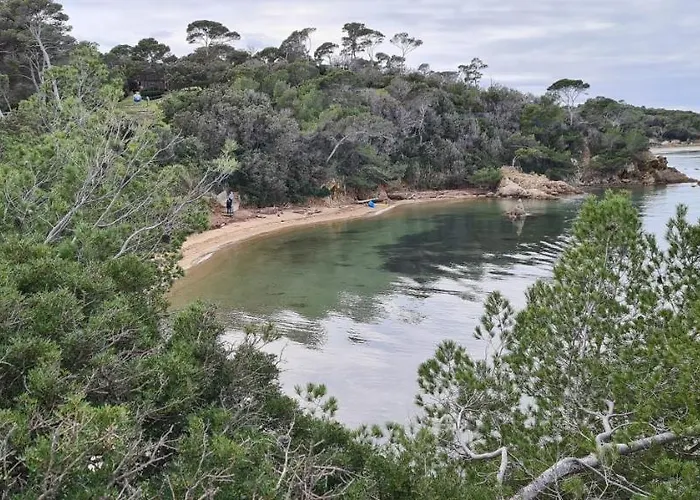 O Salins Appartement Hyères